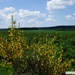 Bel environnement